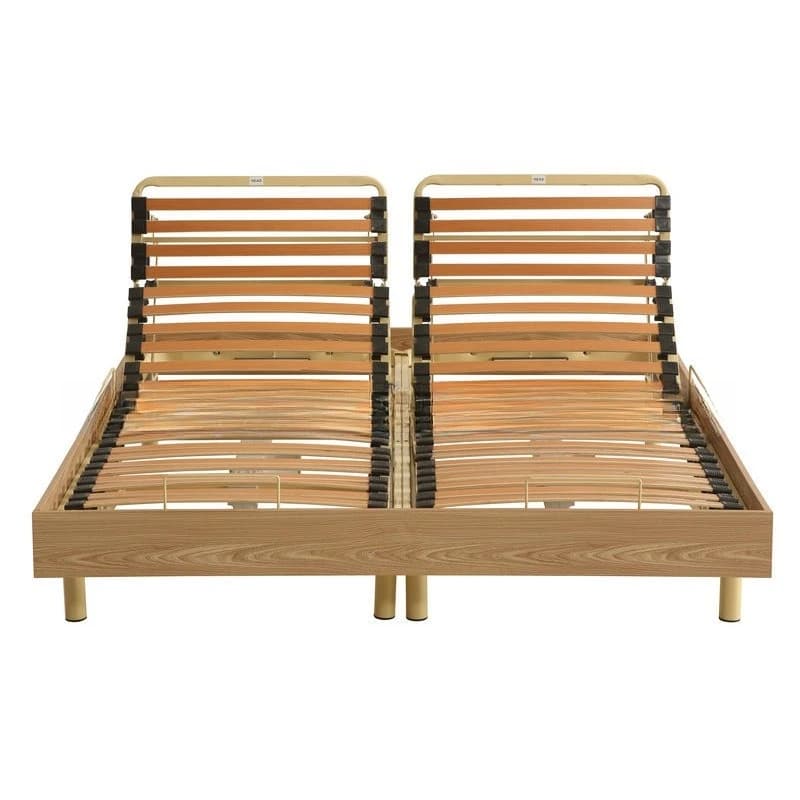 Electric Bed Automatic Lifting Sheet Double Frame Electric Bed Customized Adult Electric