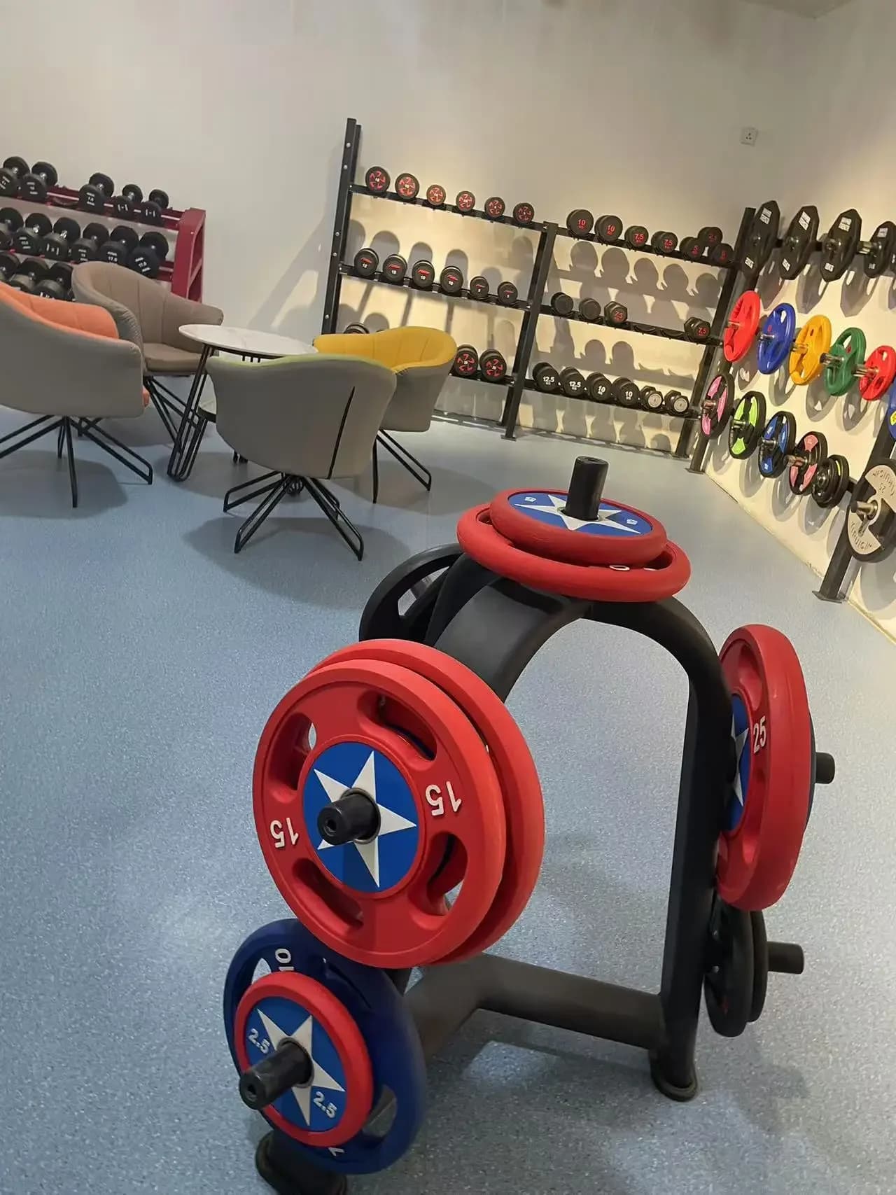 2026 Porta Pesi Verticale in Metallo per Palestra Commerciale, Rack per Bilancieri e Squat