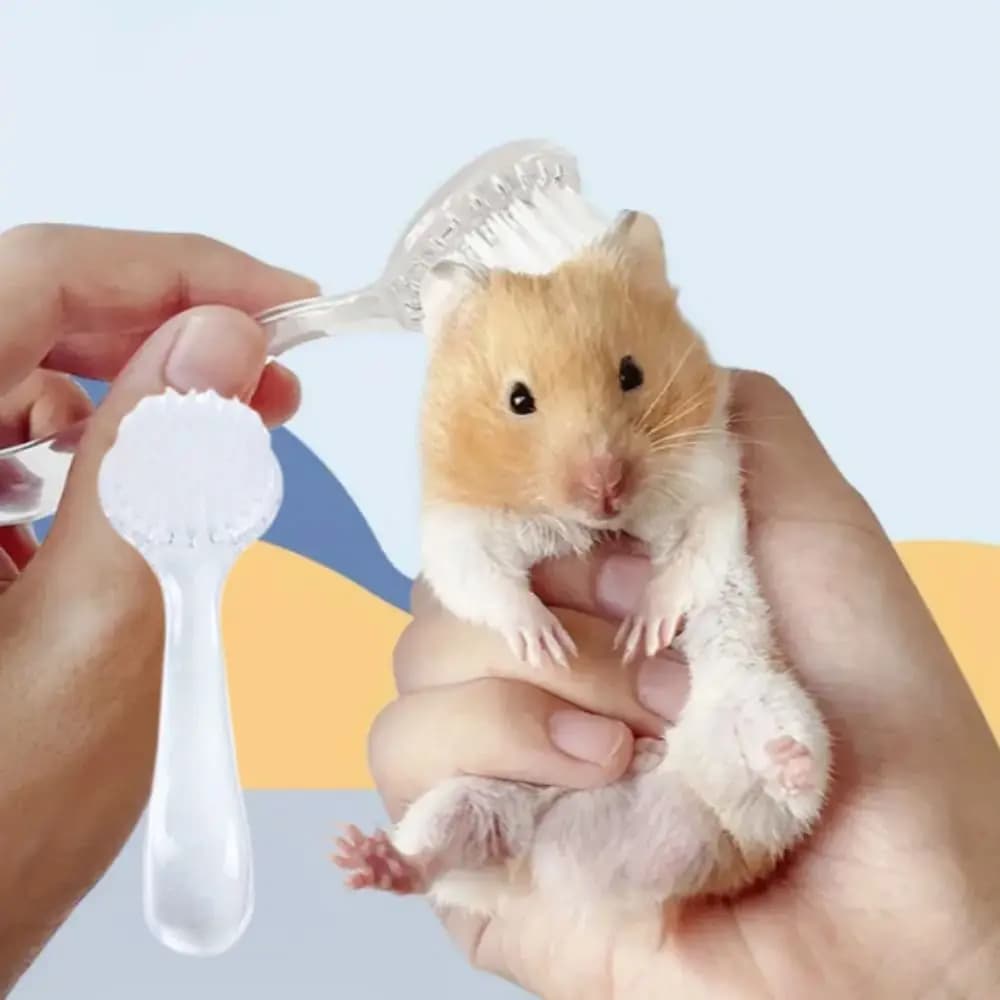 1Pc Spazzola per toelettatura animali domestici Strumenti per la pulizia del porcellino d'India Pettini per massaggio riccio Pettini da bagno per criceti