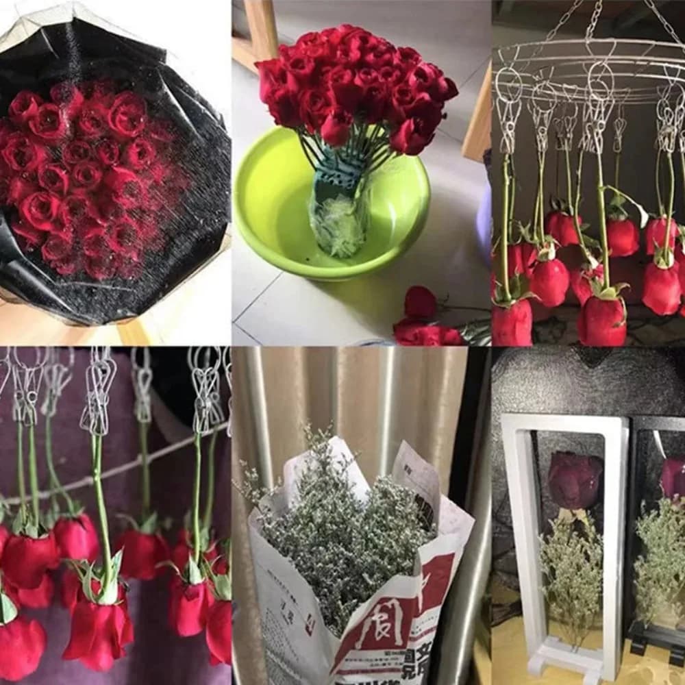 Box holders with transparent plastic frame DIY square frame Dry wall flower for black white house