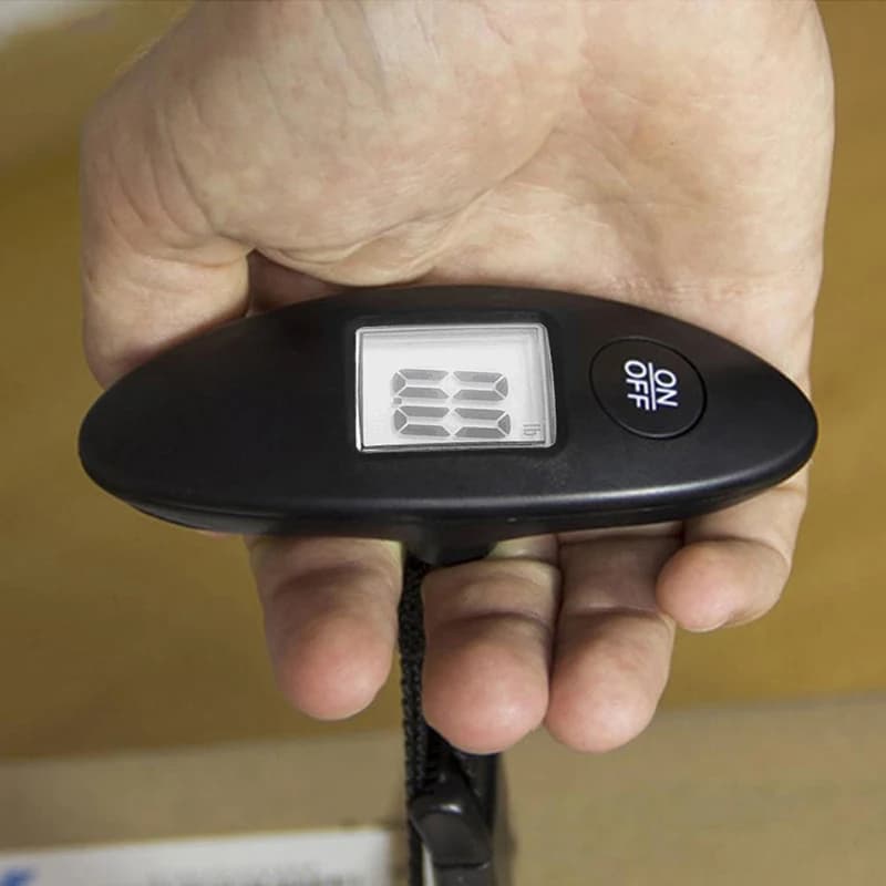 Nuova Bilancia Elettronica Tascabile da 40kg/100g, Bilancia Portatile per Bagagli ad Alta Precisione, Bilancia Digitale da Viaggio