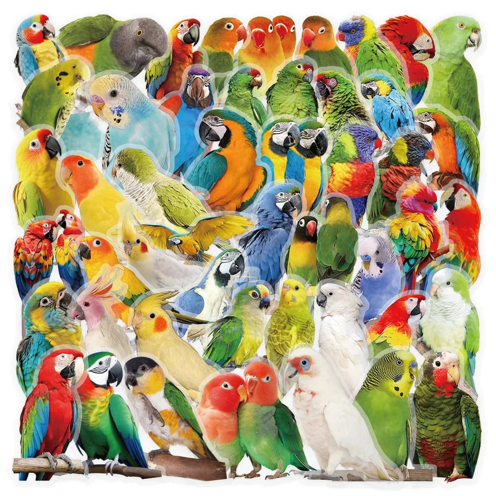 53 adesivi con motivo pappagallo per decorazioni di diari e album fotografici, Sticker Story Store