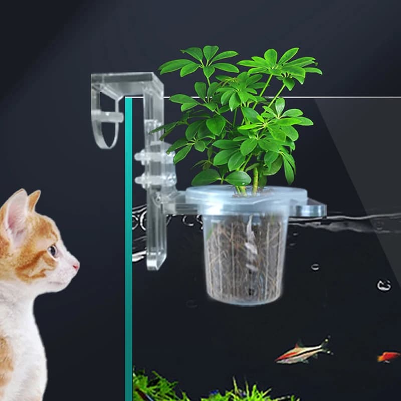 Tazze per piantare acquario Cestino di supporto idroponico Acqua Erba Porta piante acquatiche Appeso a parete Vasi da fiori Accessori per acquari