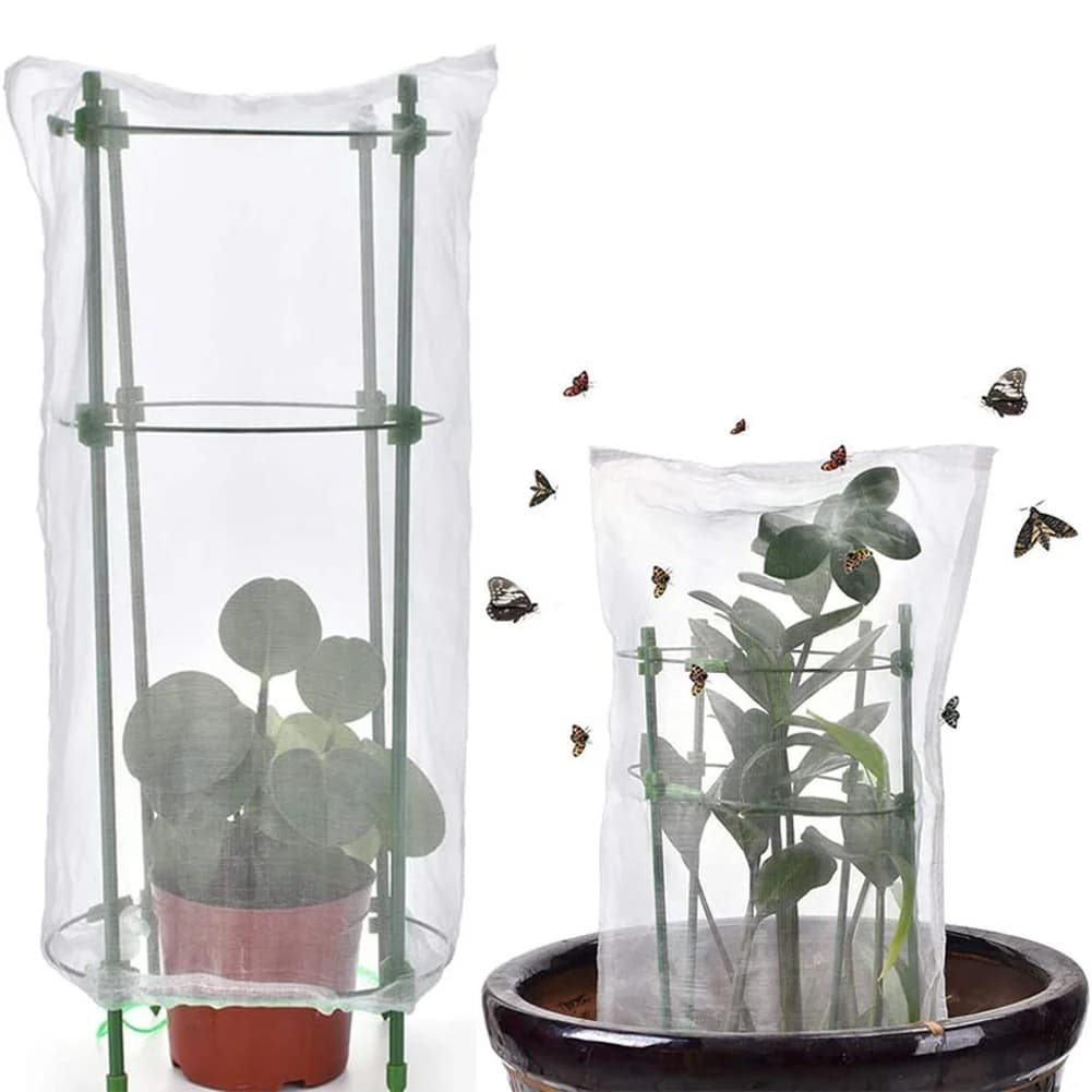 Protection Network for Plants in Vase, Breathable and Transparent, Network Anti-Insects, Growth Cage for Plants, Protective Barrier