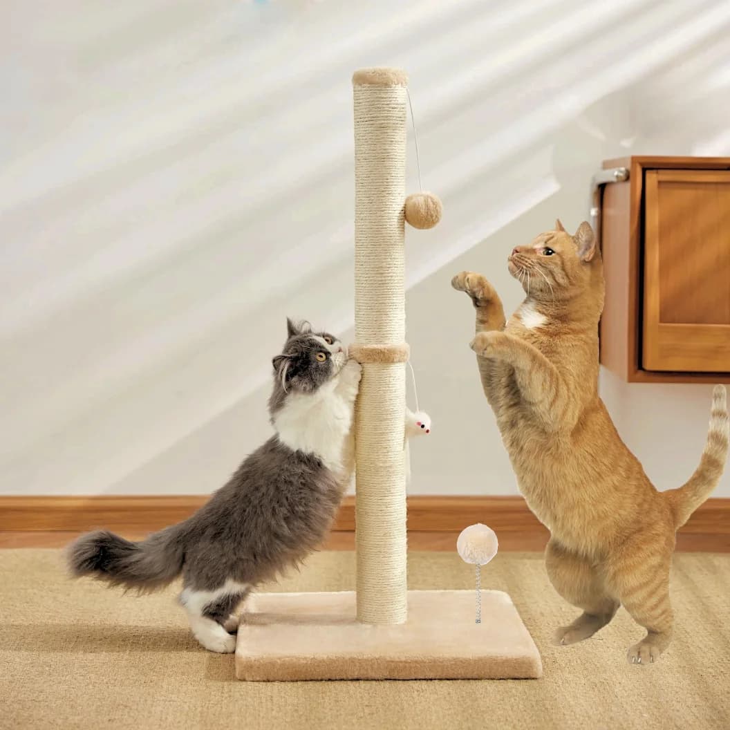 Tiragraffi per gatti alti 32" per gatti da interno adulti con 2 palline giocattolo, 1 topo fittizio, tiragraffi per gatti grande include corda di sisal