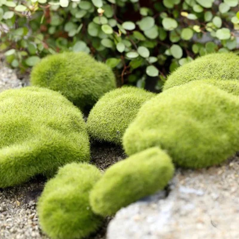 Pietra finta Rocce di muschio artificiale Decorazioni per la casa Micro Paesaggio Simulazione Pianta Decorazione fai da te per giardino e artigianato Decorazioni per la casa