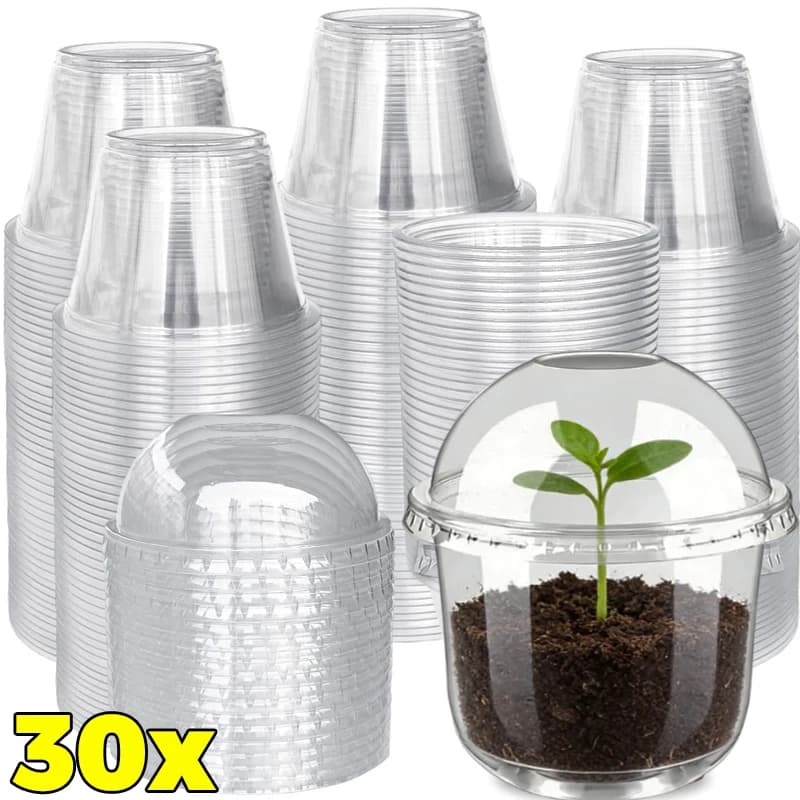 10/30 Pieces Transparent Vase for Semina with Breathable Cover, Plant and Flowers Container, Gardening Nutritional Cup