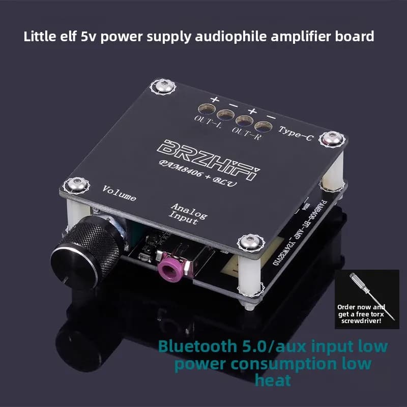 Little Elf PAM8406 Mini altoparlante FAI DA TE Audiophile Classe D Scheda amplificatore digitale 5V Modulo amplificatore di potenza Bluetooth
