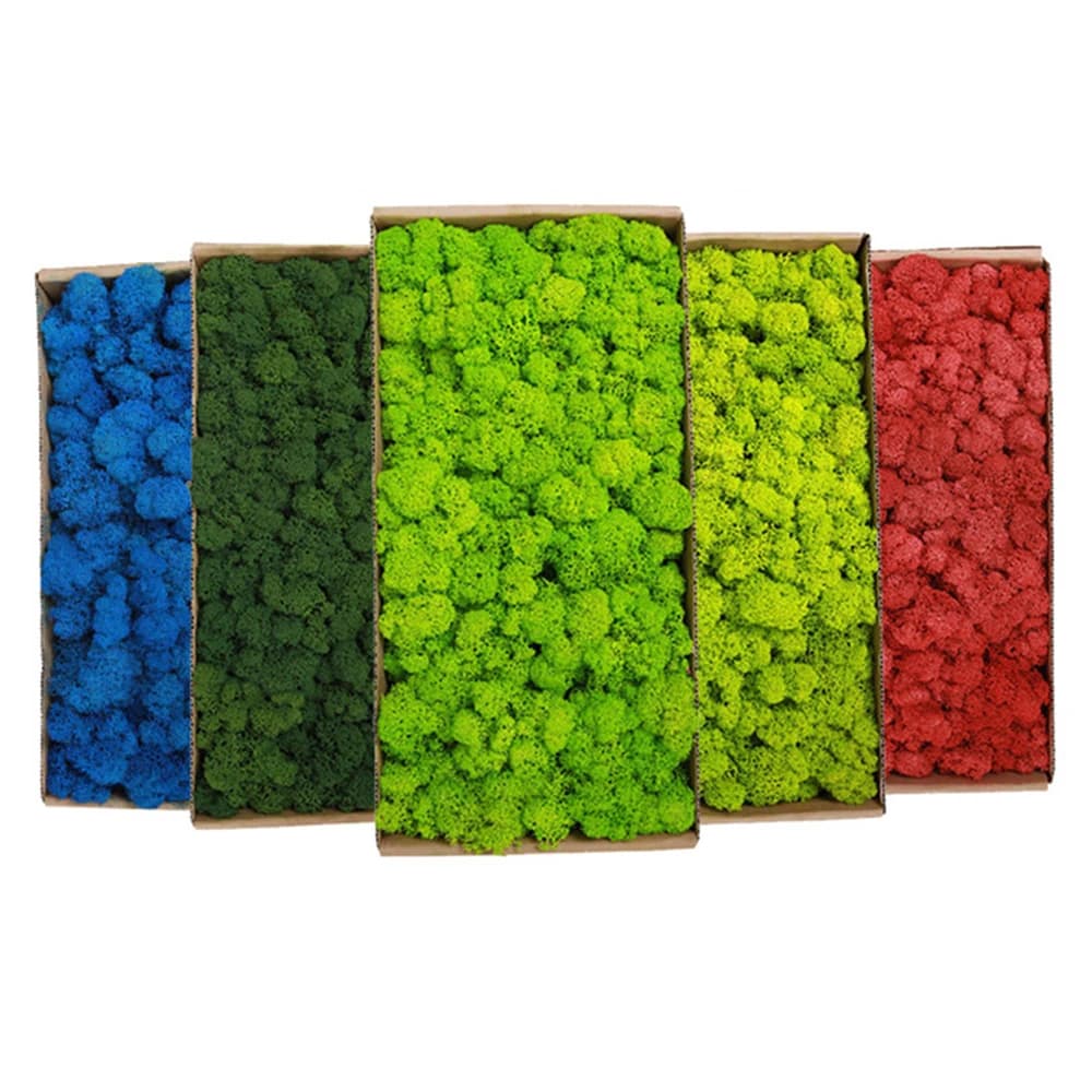 1kg vita eterna muschio erba artigianato fai da te decorazione decorativa della stanza della parete piante finte artificiali giardino di casa decorazione estetica della stanza