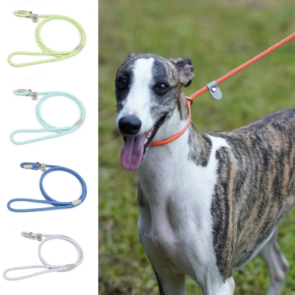 Guinzagli per collare per cani da addestramento all'aperto, guinzagli in Nylon riflettenti semplici, catena per cani da compagnia, corda di trazione, Anti-combattimento, ferita, nuovo