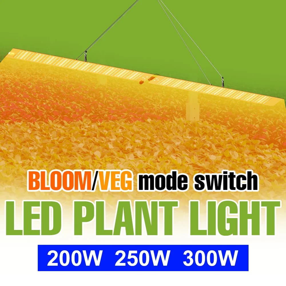 300W Complete LED Lights for Plant Growth, Quantum Board Lamp for Semi Growing, Lighting for Serra, Vegetables, Flowers and Fruit