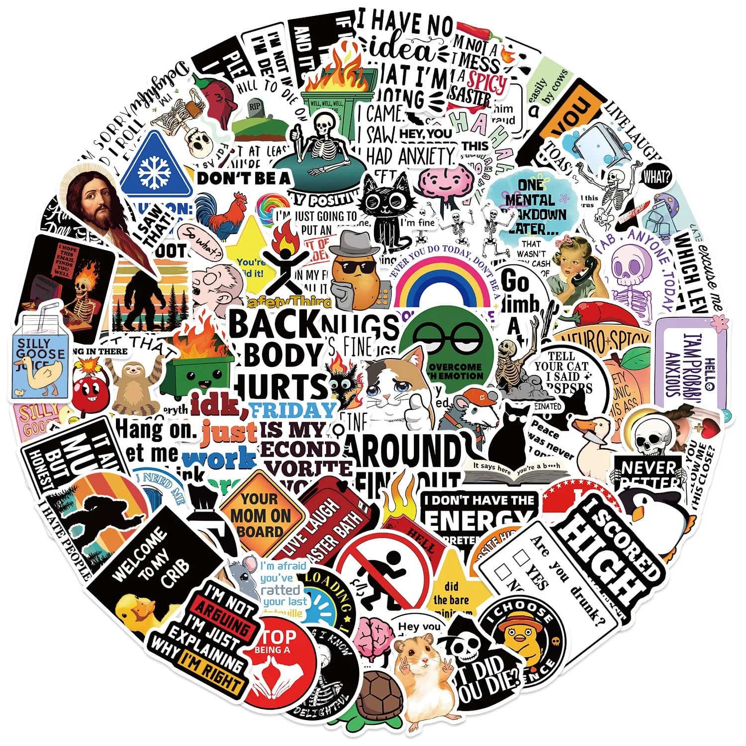 50/100PCS Funny Snarky Meme Stickers Cartoon Decals Decoration DIY Notebook Fridge Phone Bike Laptop Guitar Graffiti Stickers