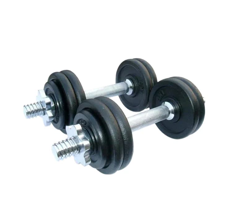 2026 Hot Sale 10kg Boxed Gym Equipment Adjustable Dumbbell Set Baking Paint Barbell for Strength Trainingpromote sales