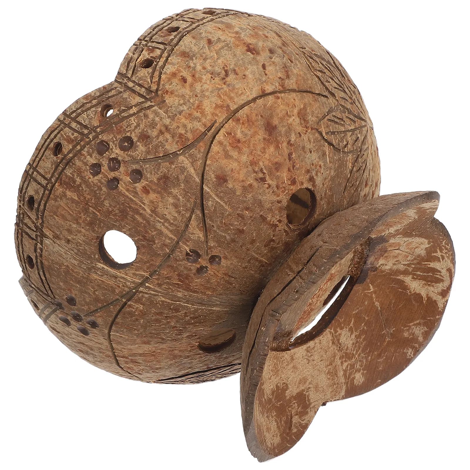 Cesto pensile in guscio di cocco con fori di drenaggio per piante da interno ed esterno, vaso per piante grasse, cesto pensile per piante da giardino