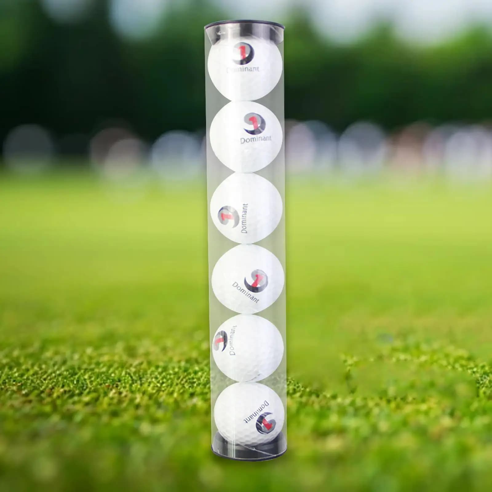 Tubo portaoggetti per palline da golf, organizer con 6 palline da golf, diametro 4,7 cm, accessori per contenitori, supporto per scatola portaoggetti per uomo che trasporta, golfisti