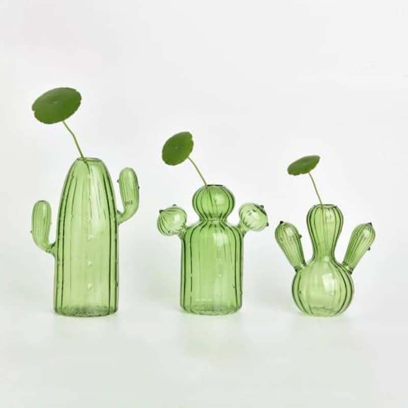 Colourful Glass Vase, Desktop Decorative Item, Cactus Vase, Plant Hydroponic Flower Pot, Living Room and Bedroom Decorative Item