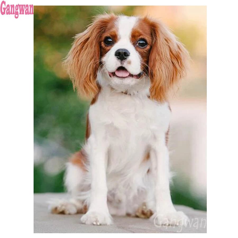 5D rhinestone diamond painting diy diamond embroidery Cavalier King Charles Spaniel,diamond mosaic dog,full drill,cross stitch