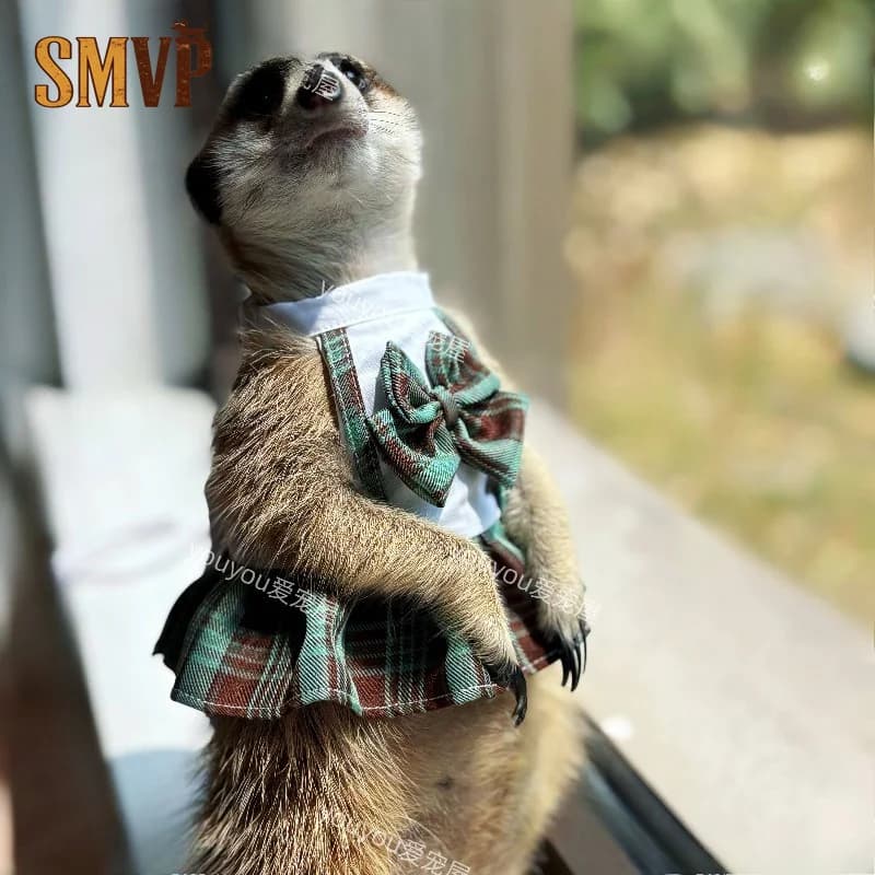 Plaid Tie Pet Harness Vest Walking Chest Strap Clothes for Meerkat Prairie Dog Chinchilla Ferret Guinea Pig Small Exotic Pets
