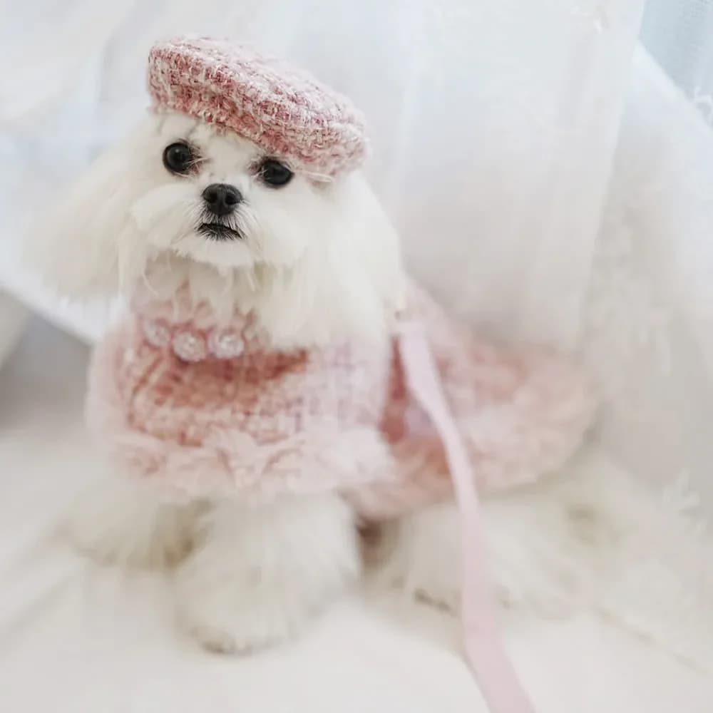 Mantello rosa per cani di piccola taglia Abiti chic per cuccioli di design Vestiti caldi per cani invernali con cappello al guinzaglio
