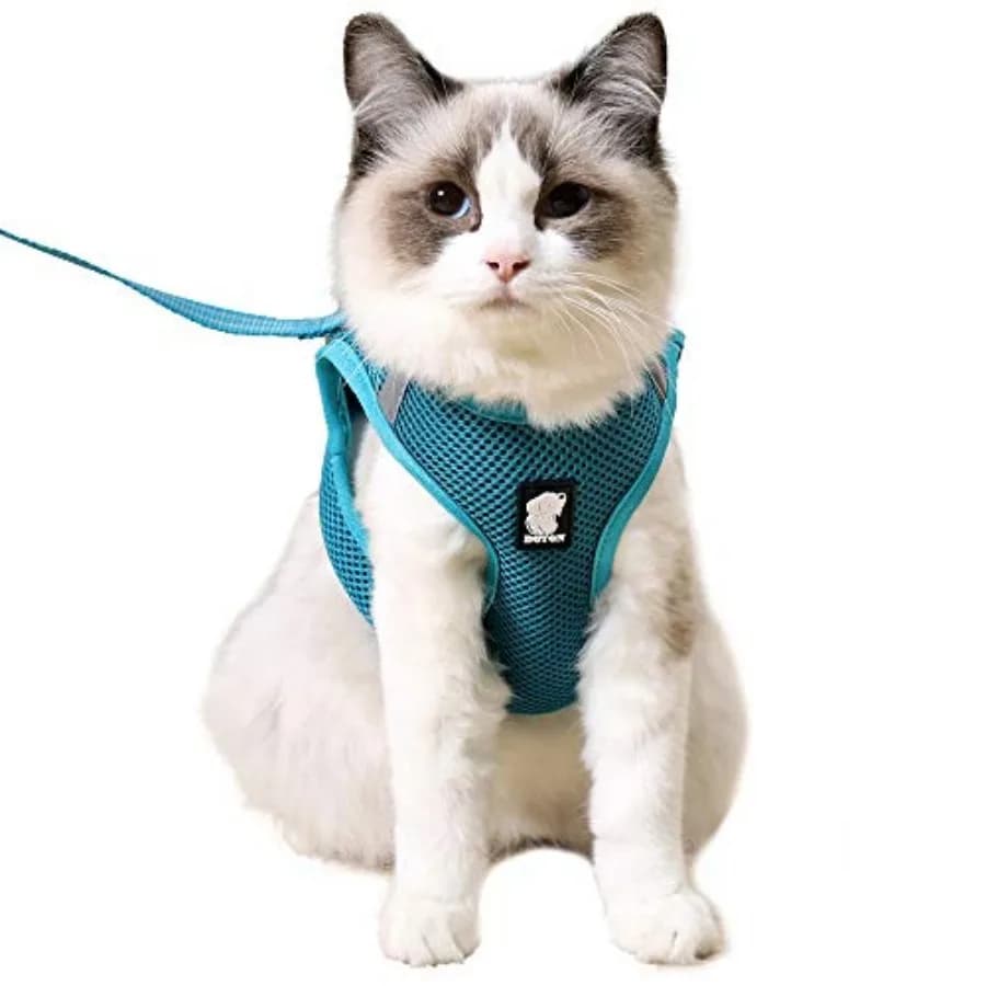 Cat Harness and Leash - Ultra Light Escape Proof Kitten Collar Cat Walking Jacket with Running Cushioning Soft and Comfortable