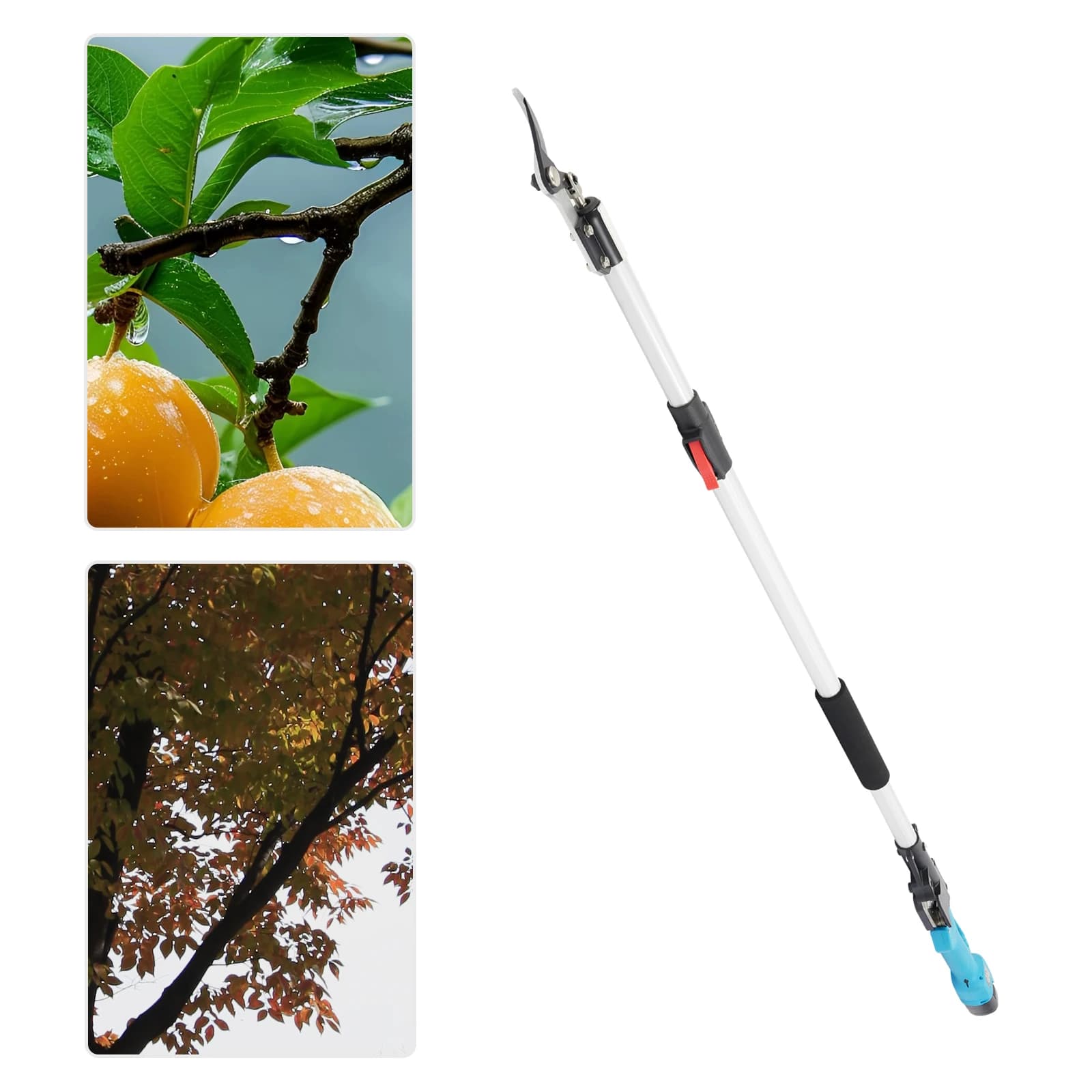 Lithium-powered electric shears with brushless motor with SK5 steel blade with telescopic pole