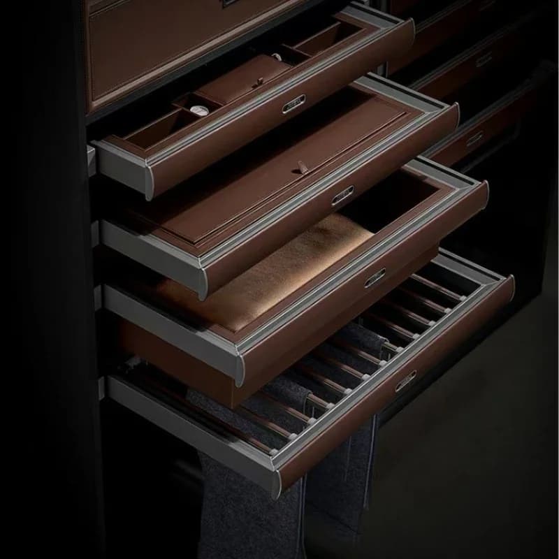 Built-in jewelry box in wardrobe, drawer-type pants rack, cloakroom, pull basket,telescopic lattice,multi-functional pants rack.