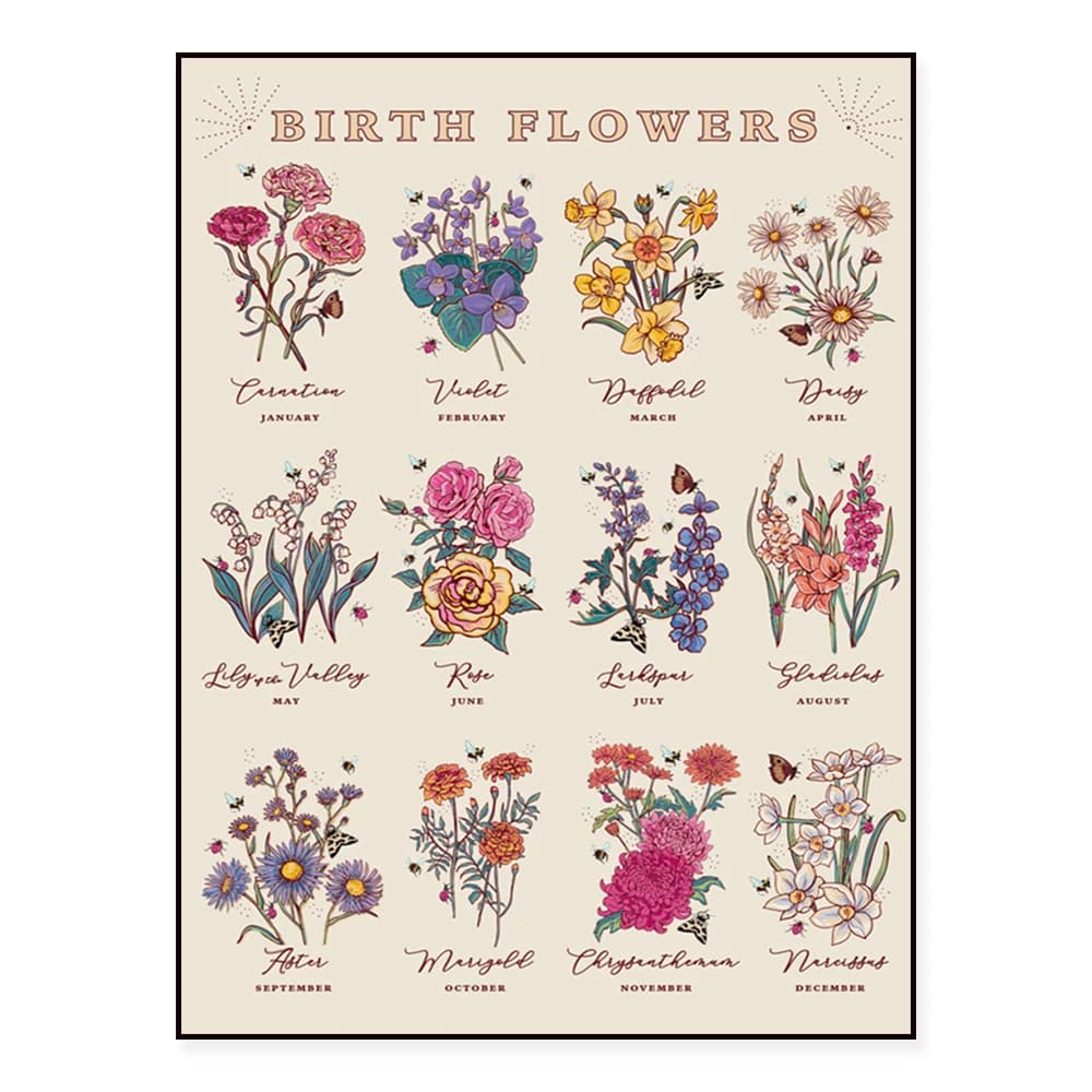 Crib flower poster, flower language, daisy, magnolia, carnations, pink, floral meaning in semi package style, flower market