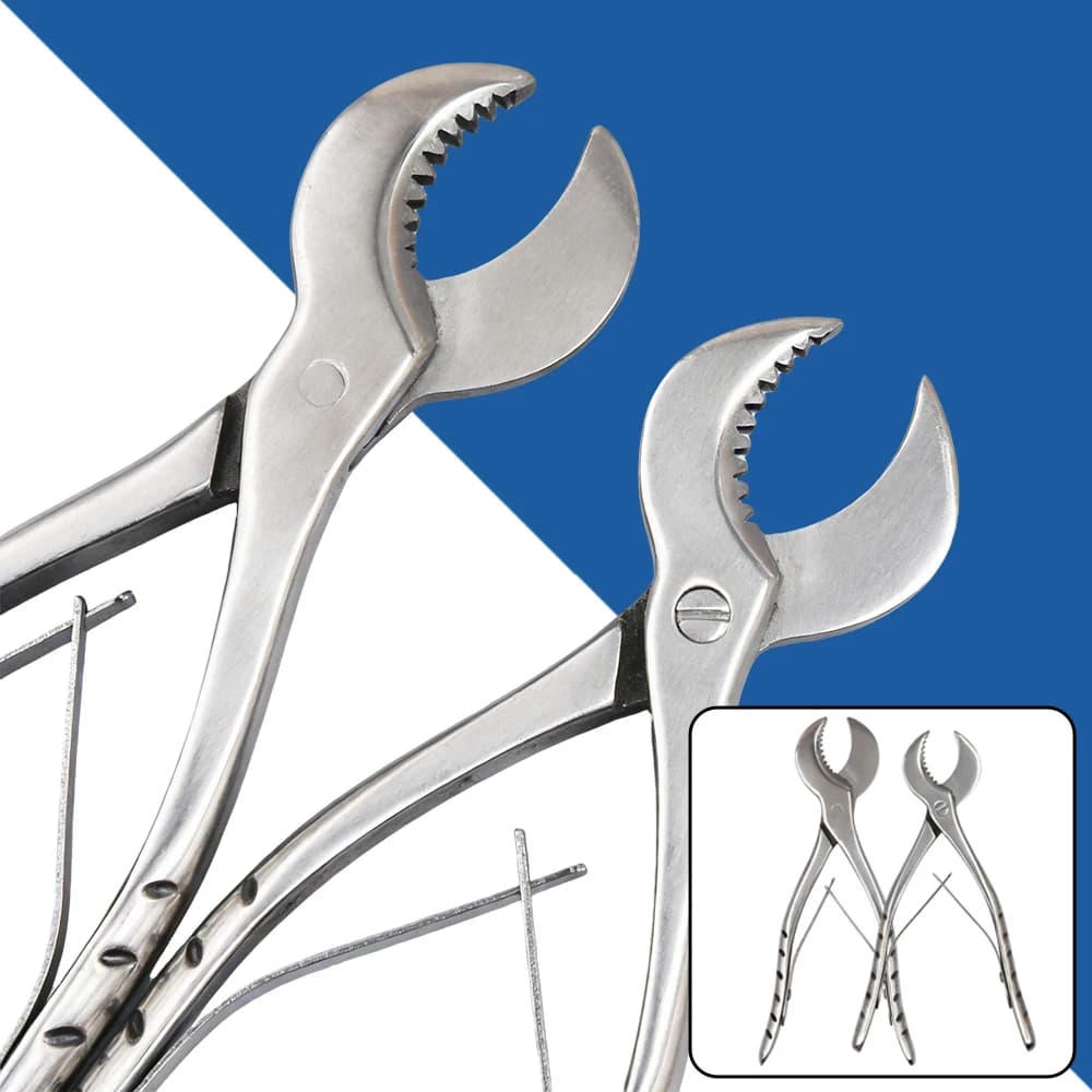 Forbici per Gesso Dentale, Taglierina in Acciaio Inossidabile per Modelli in Gesso e Lavori Dentali di Precisione