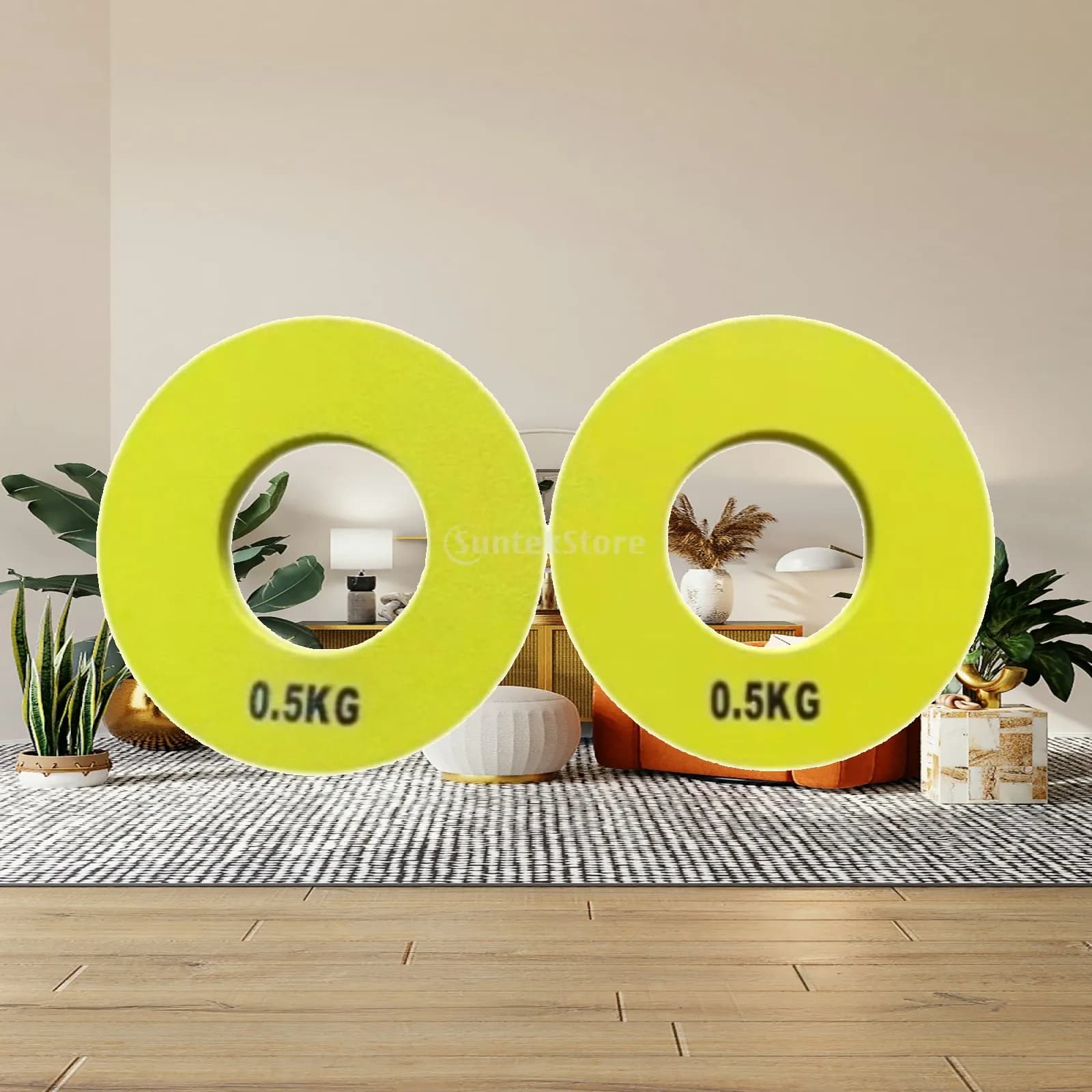 Fitness Fractional Plates Steel Barbell Counterweights Easy Install Gym Weights for Home Workouts