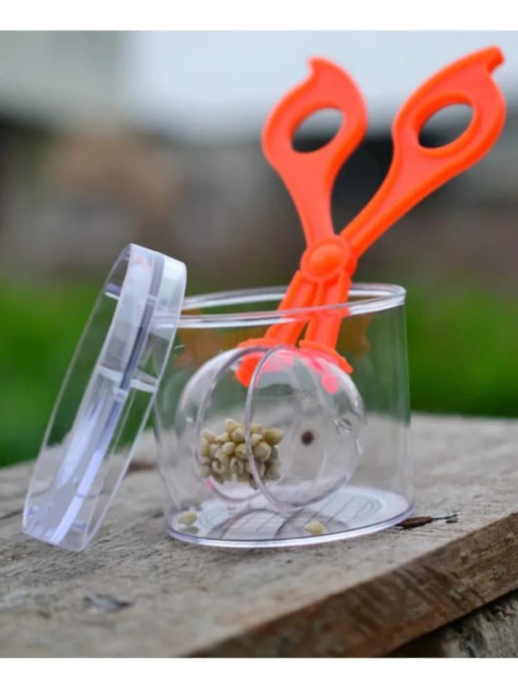 Kit giocattolo per l'esplorazione della natura per bambini Strumento per lo studio degli insetti vegetali Morsetto a forbice in plastica e pinzette Forniture per giocattoli Montessori
