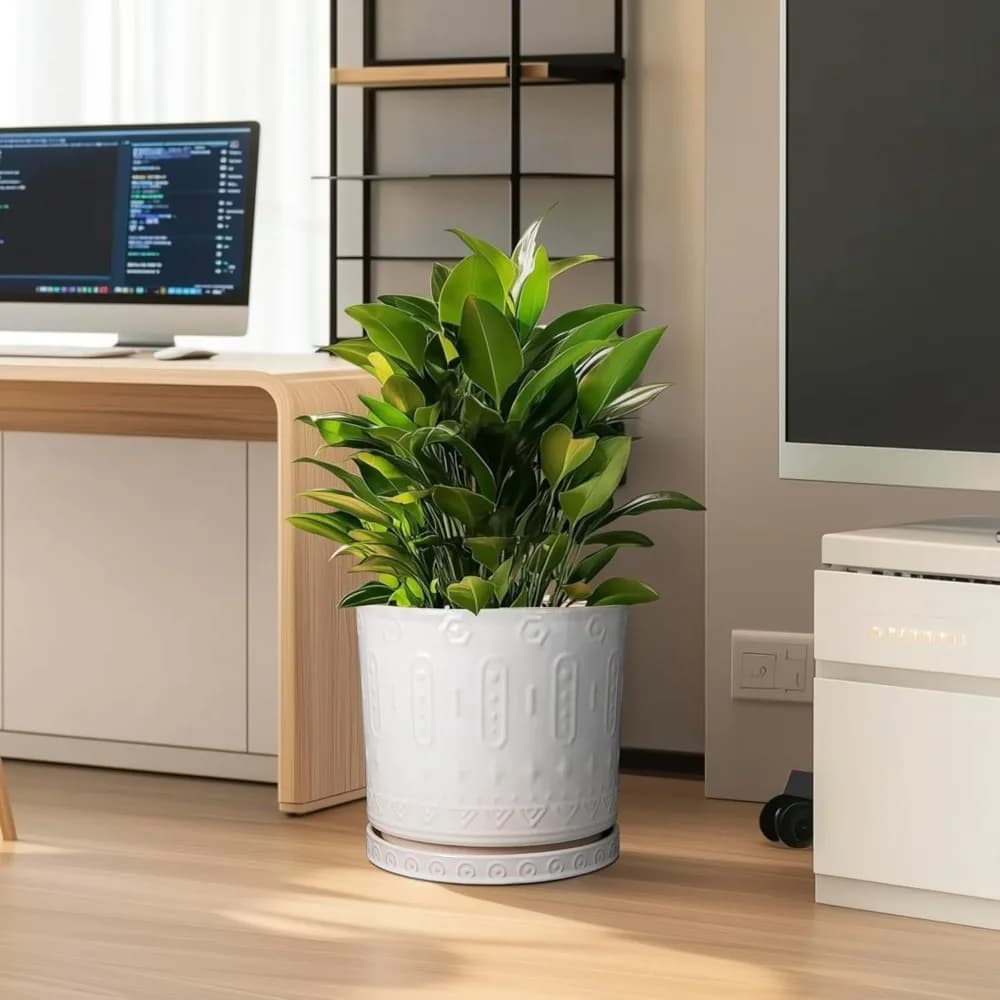 Vasi per piante in ceramica di grandi dimensioni da 12 pollici con fori di drenaggio e piattino - Fioriera moderna per interni ed esterni per ufficio, giardino, patio