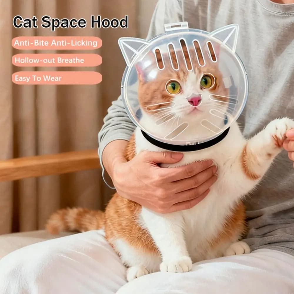 Museruola per gatti trasparente e traspirante Anti-lambering Anti-morso Cappuccio spaziale per gatti Antigraffio Accessori per toelettatura gatti