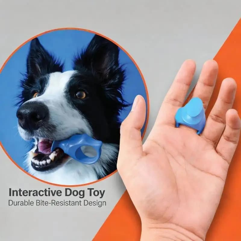 Bite Resistant Pet Finger Toothbrush Anti-Bite PP Soft Material Easy Operation for Dog Cat Dental Care Grooming