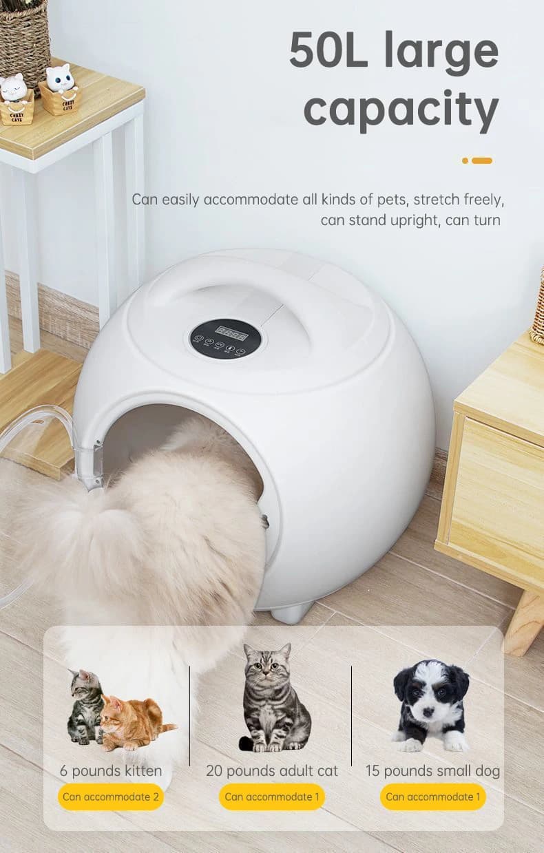 Asciugatrice Professionale per Gatti con Grande Box, Soffiatore Automatico per Toelettatura, Asciugatore per Animali Domestici