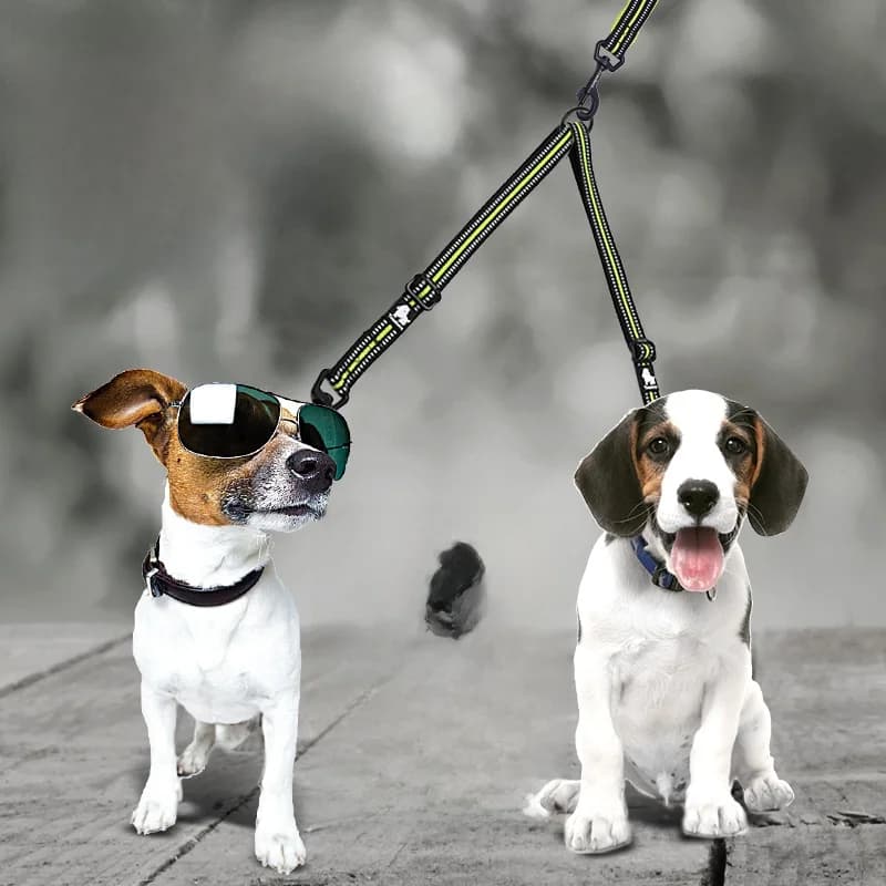 Guinzaglio Doppio Regolabile per Cani, Imbracatura per Passeggiate con Uno o Due Cani, Accessori per Animali Domestici, Materiale Retrattile Resistente