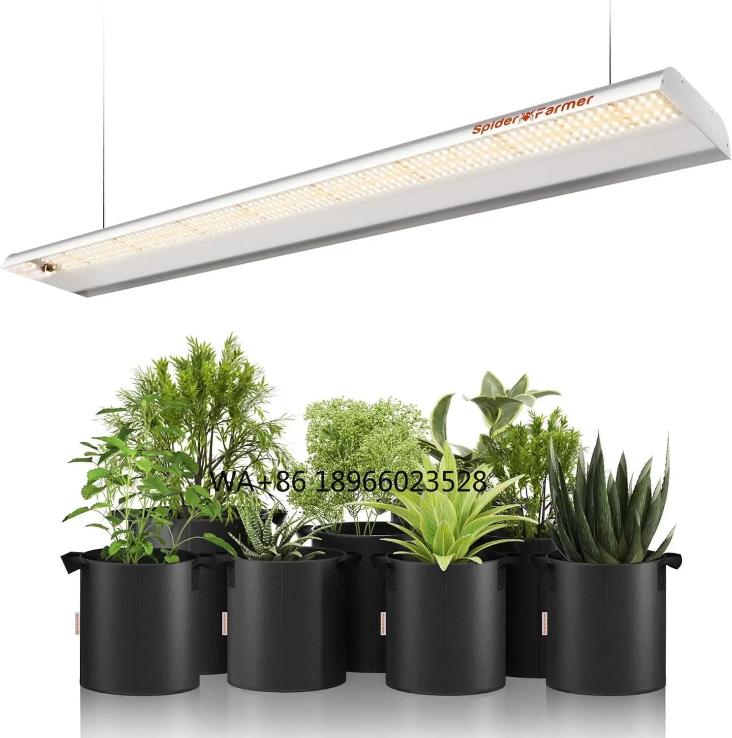 Spider Farmer SF600 74W 2x4 feet Sunlike Cover Full Spectro Verdura LED Indoors Grow Light For Indoor Plant Flowers Seeds