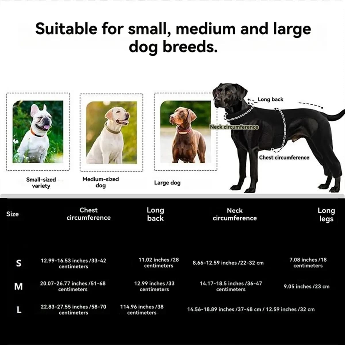 ABNQ Ginocchiera per cani per l'articolazione posteriore (ACL) strappata - Supporti regolabili per zampe posteriori con 4 stabilizzatori L