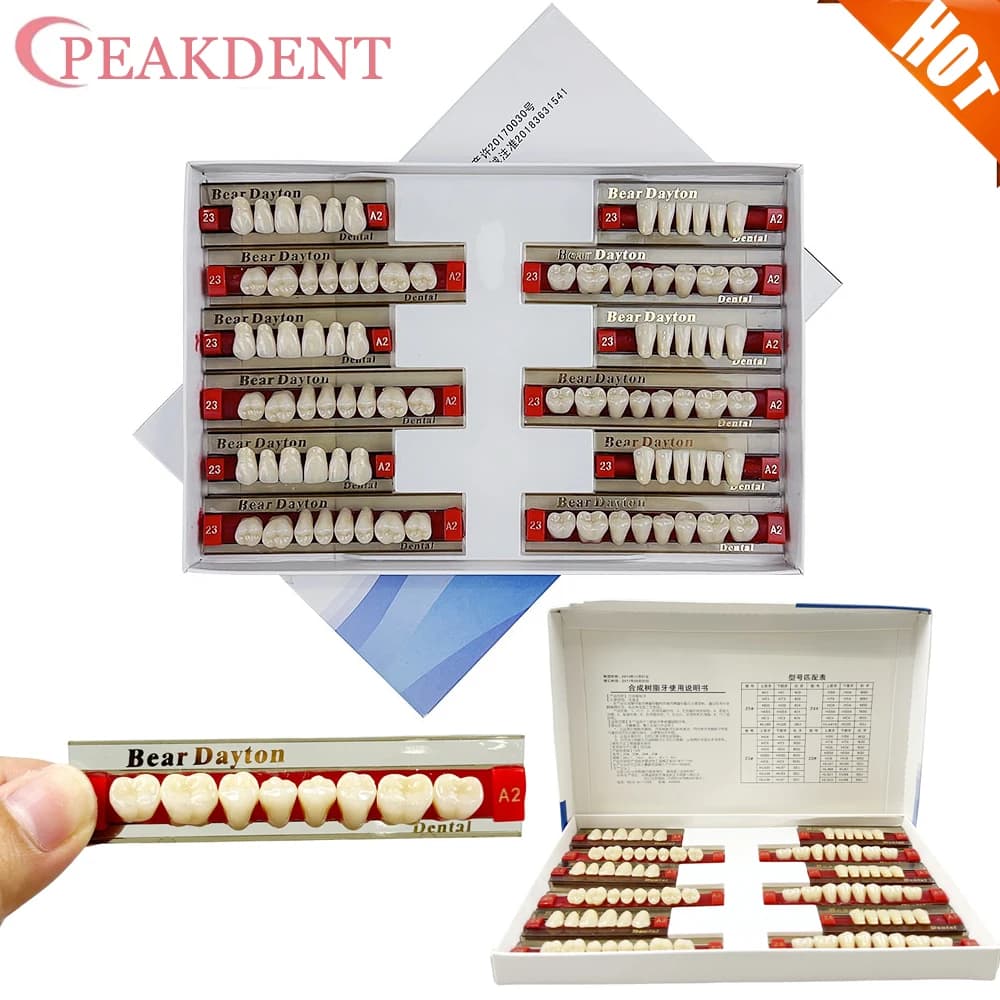 3 set/scatola Protesi Dentale Denti Superiori Anteriori Inferiori Posteriori Denti acrilico A2 A3 2 strati Modello di Educazione Dentale Resina Teet