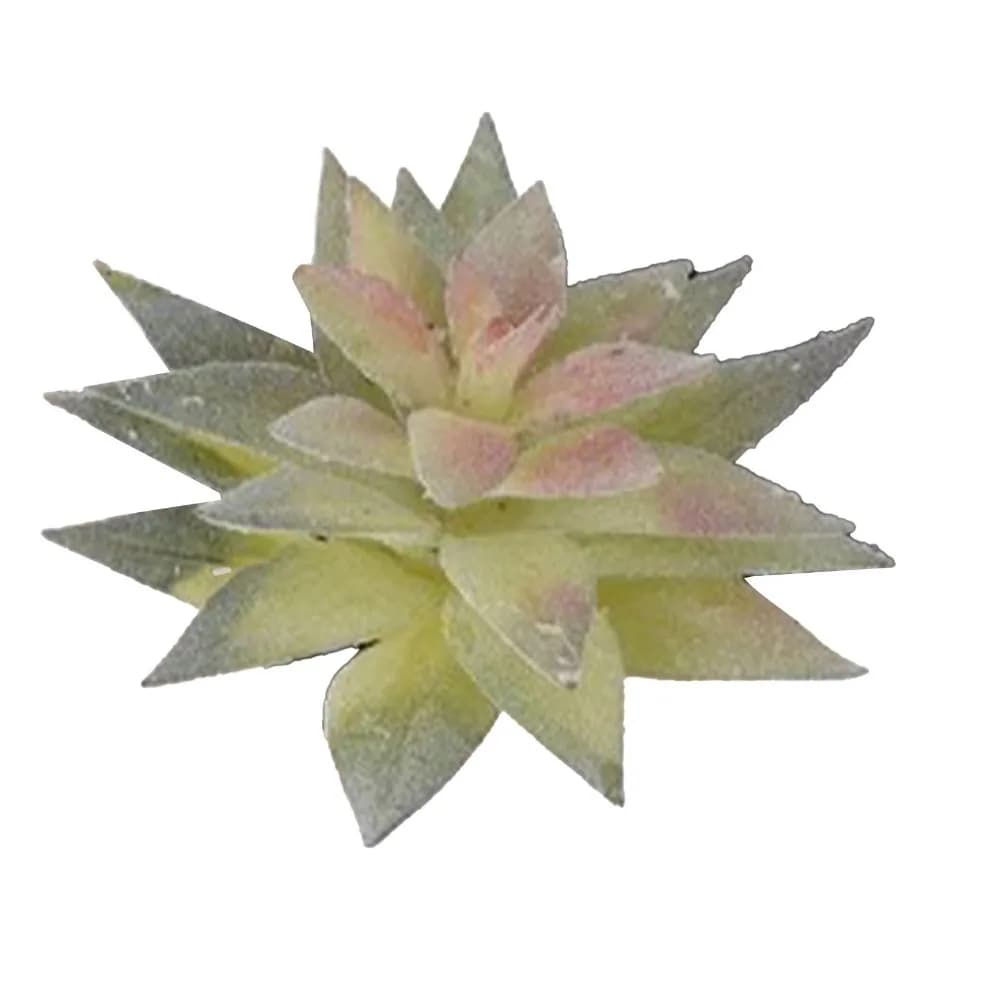 2pcs Soft PVC artificial succulent ornaments 3.94 x 2.76 x 2.76 inch green simulated plastic vegetation Succulent Plant