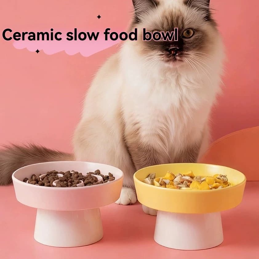 Ciotola Rialzata in Ceramica per Gatti a Lenta Alimentazione, Ciotola Anti-ingozzamento per Cani e Gatti, Graziosa Ciotola in Ceramica per Animali Domestici