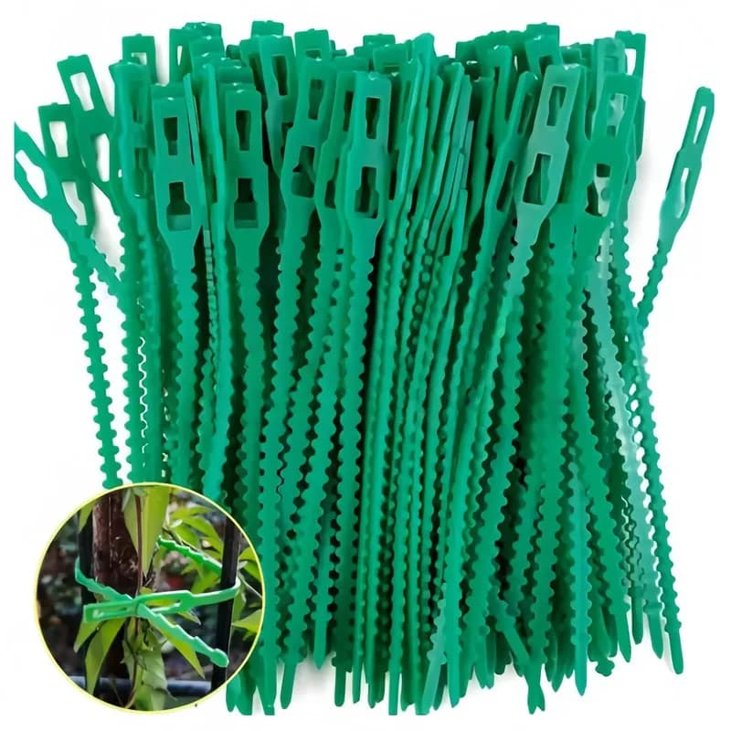 50Pcs17cmReusableFishbone Cable Tie SelfLockAdjustNonHitSlip CanFirmFirmFixClimbing VinePlant、FlowersStem、VegetableVine AlsoS