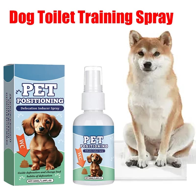 Spray per addestramento alla toilette per cani Spray per addestramento al vasino per cani Gatti Gattino Cacca per urina all'aperto Sgabello Posizione Aiuta i cuccioli Induttore per WC