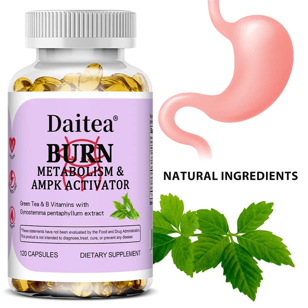 Green Tea Extract: Fat burning, controlling appetite, supports intestinal health, supports weight management and improves digestion