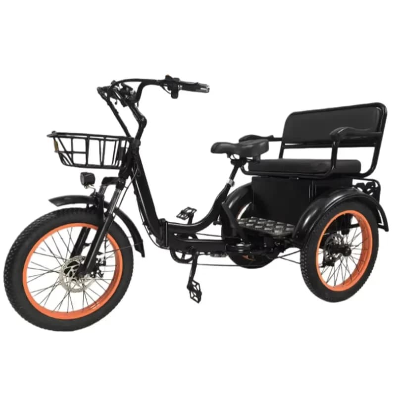 New Electric Tricycle for Adults with Back Seat 750W 48V 3-Wheel Electric Bicycle 2-Seater for Elderly Men