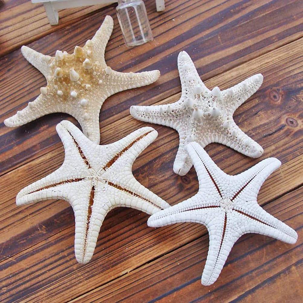 2Pcs Natural Sea Star Ornaments for diy Starfish Hair Clips making Ocean Themed Starfish Adorn Beach Holiday Dressing Accessory