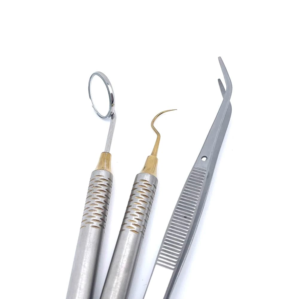 3 Pz/kit Dentale Stainless Steel Mouth Cloth Cloth Grippers Supplies Dentist Tools for Tooth Whitening Cleaning Tool