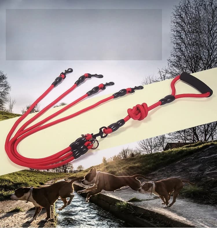 Corda da passeggio per cani a doppia testa per animali domestici con funzione di trazione one-drag-two, dotata di prestazioni anti-avvolgimento e design staccabile