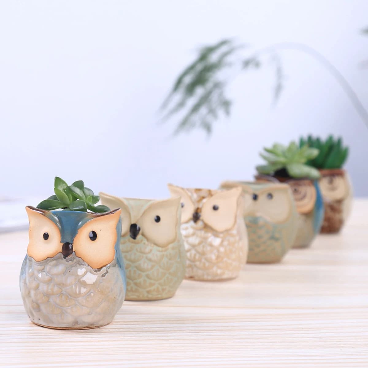 Forniture per il giardino domestico Decorazione Vasi da fiori in ceramica Modello in miniatura Simpatico gufo Vaso da fiori succulente Desktop
