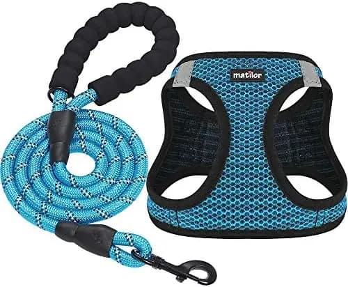 Imbracature comode per cani – Gilet traspirante Matilor con sistema step-in per cuccioli e gatti in blu.