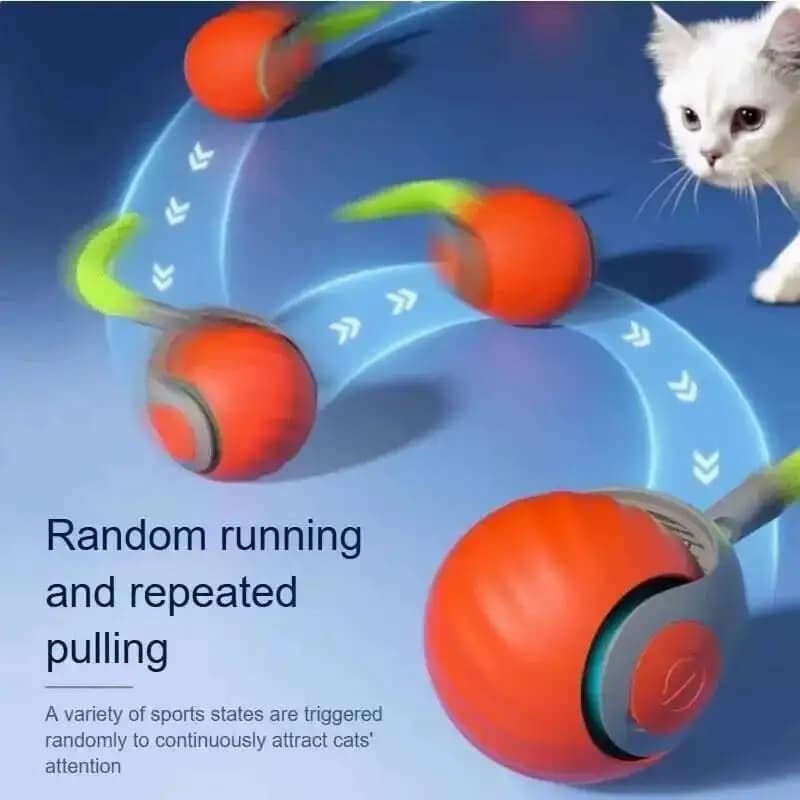 Intelligent Interactive Cat Toy, Automatic Rolling Ball with Coda Finta, USB Rechargeable, Electric Cat Toy for Fun and Training